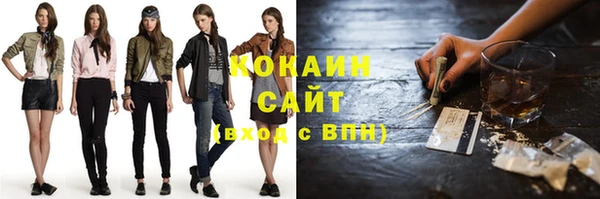 стафф Алексин