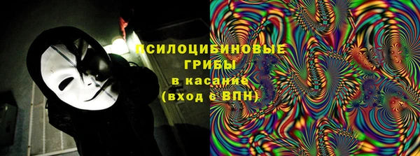 ECSTASY Алзамай