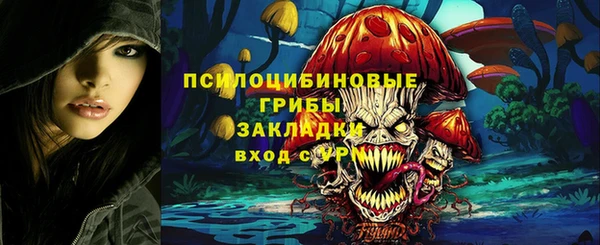 ECSTASY Алзамай