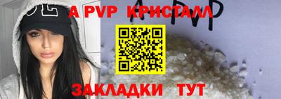 шишки Гусиноозёрск