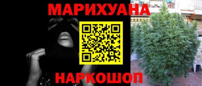 шишки Гусиноозёрск