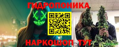 шишки Гусиноозёрск